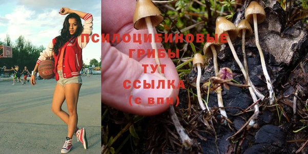 эйфоретик Белокуриха