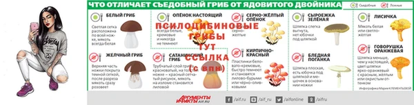 эйфоретик Белокуриха