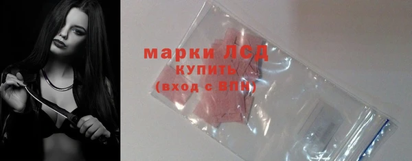 эйфоретик Белокуриха