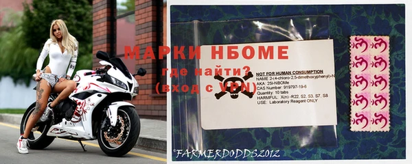 амф Беломорск