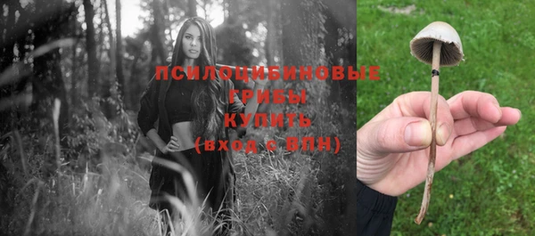 первитин Белоозёрский
