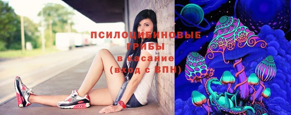 эйфоретик Белокуриха