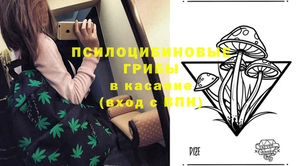 первитин Белоозёрский