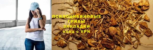 амф Беломорск