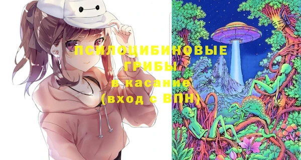 эйфоретик Белокуриха